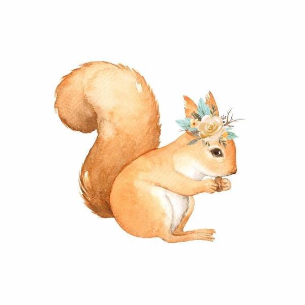 Fındık Yiyen Çiçekli Sincap Duvar Stickerı - Image 1