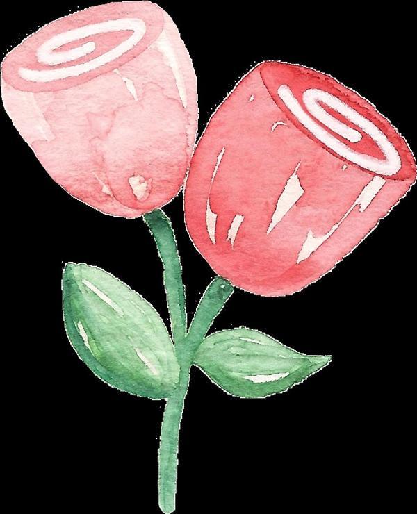 İki Gül Duvar Stickerı - Image 1