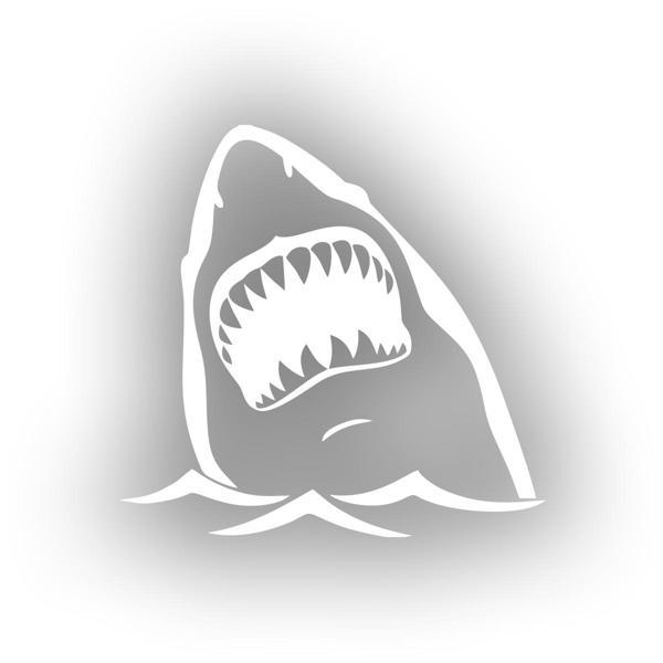 Köpek Balığı Sticker 17x17 Cm Beyaz - Image 1