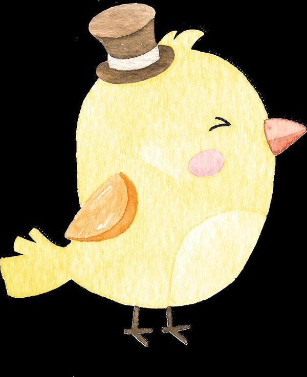 Şapkalı Kuş Duvar Stickerı - Image 1