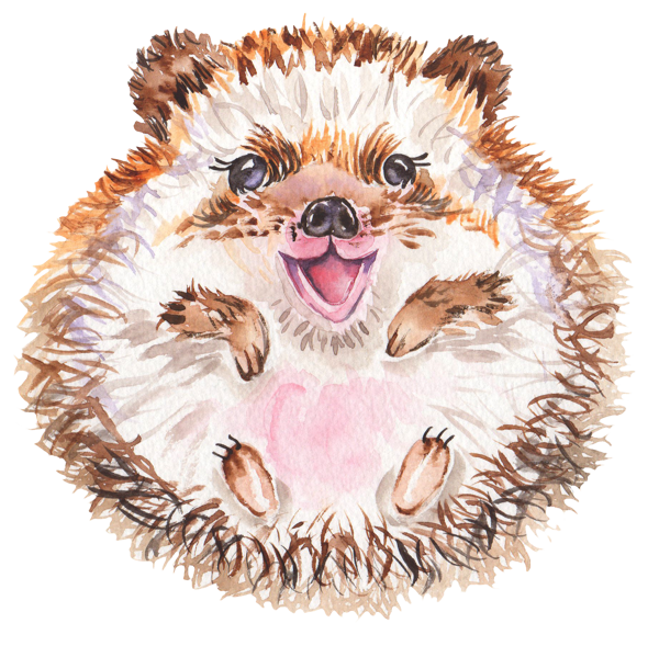 Mutlu Kirpi - Image 1