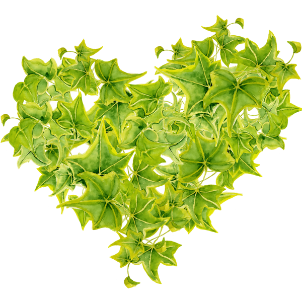 Sarmaşık Yapraklarından Kalp - Image 1