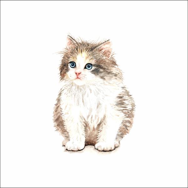 Sevimli Kedi Sticker - Image 1
