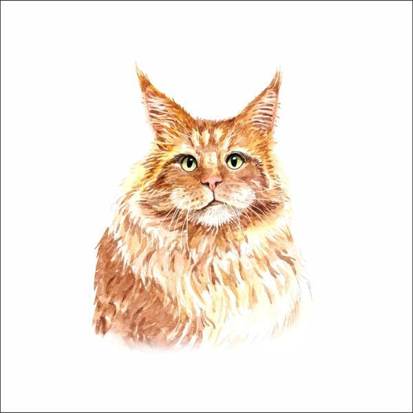 Sevimli Kedi Sticker 1 - Image 1