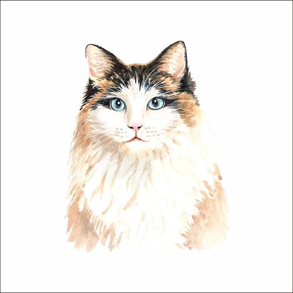 Sevimli kedi Sticker 2 - Image 1