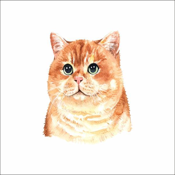 Sevimli Kedi Sticker 3 - Image 1