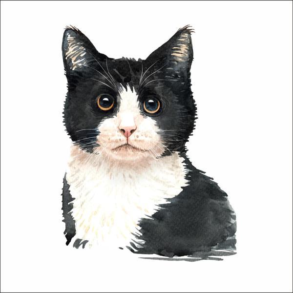 Sevimli Kedi Sticker 4 - Image 1
