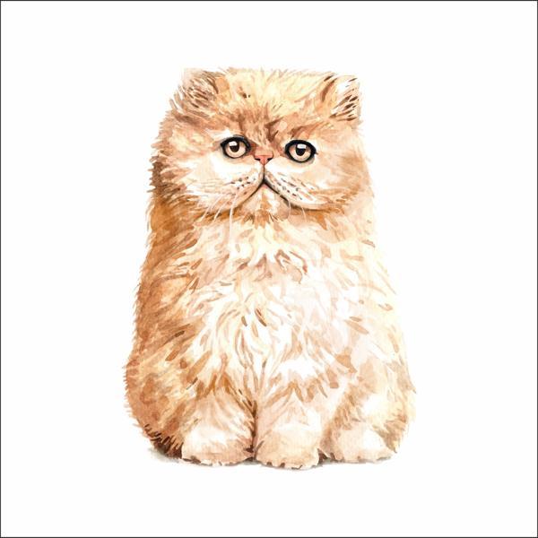Sevimli Kedi Sticker 5 - Image 1