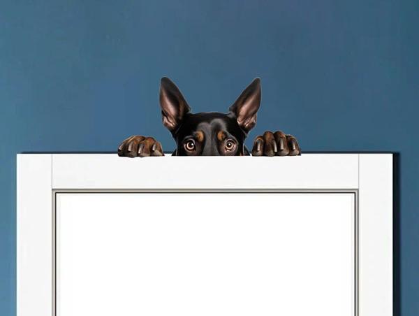 Yorkshire Terrier Duvar Stickerı - Image 1