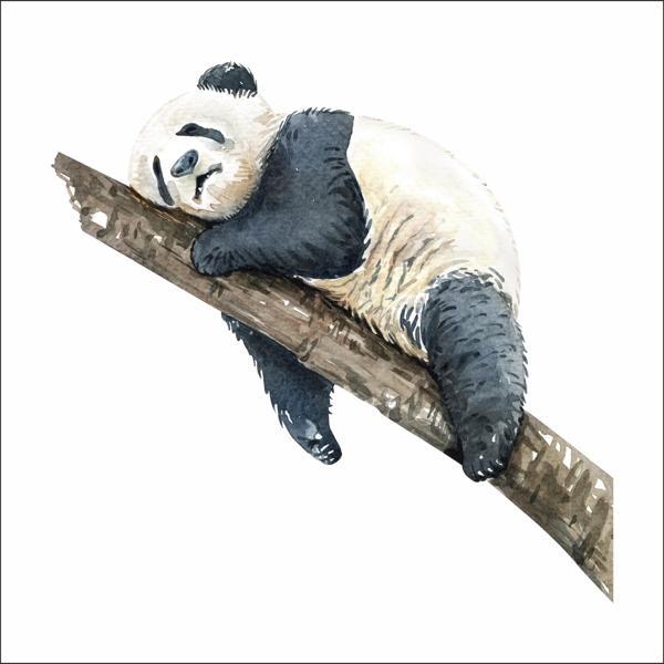 Uyuyan Panda Sticker - Image 1