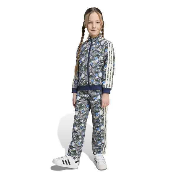 FIREBIRD TS - Image 1