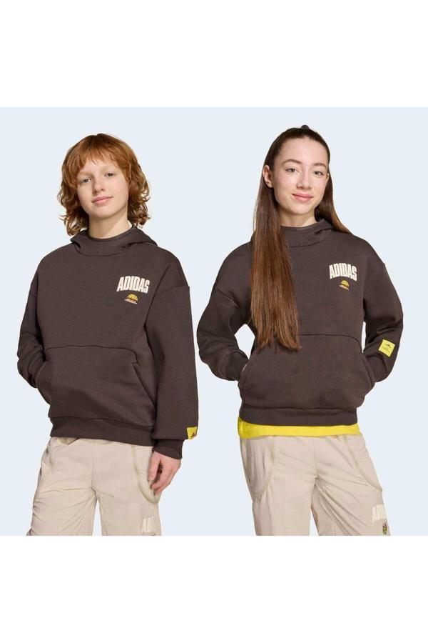 Adidas The Simpsons Çocuk Kahverengi Sweatshirt (Jl9181) - Image 1
