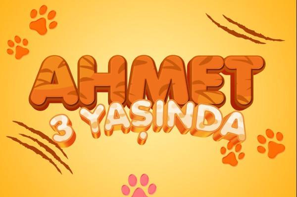 Pati Temalı Doğum Günü Afişi - 100x150 Cm - Image 1