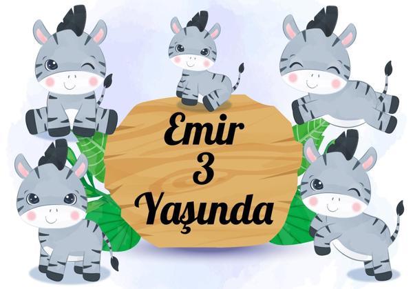 Zebra Temalı Doğum Günü Afişi - 70x100 Cm - Image 1