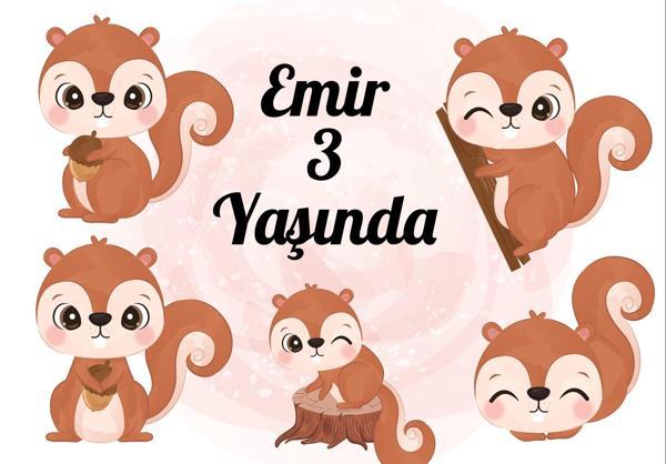 Sincap Temalı Doğum Günü Afişi - 50x70 Cm - Image 1