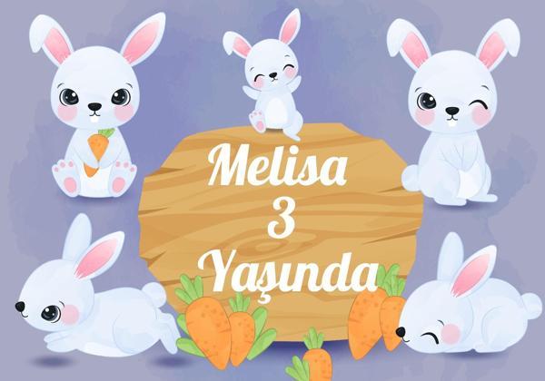 Sevimli Tavşan Temalı Doğıum Günü Afişi - 70x100 Cm - Image 1