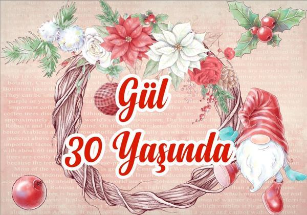 Yılbaşı Temalı Doğum Günü Afişi - 50x70 Cm - Image 1