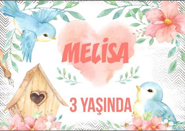 Kuş Temalı Doğum Günü Afişi - 100x150 Cm - Image 1