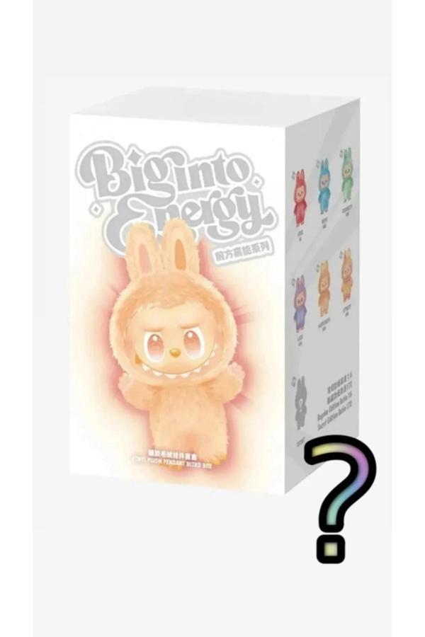 Labubu Kutulu Süpriz Koleksiyon Figürü - Image 1