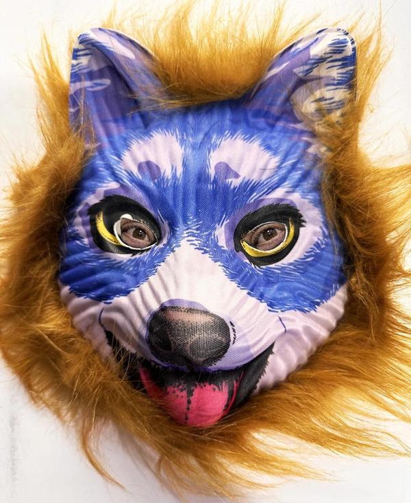 MDB Kahverengi Saçlı Mavi Yüz Sevimli Köpek Maskesi 30 No - Image 1