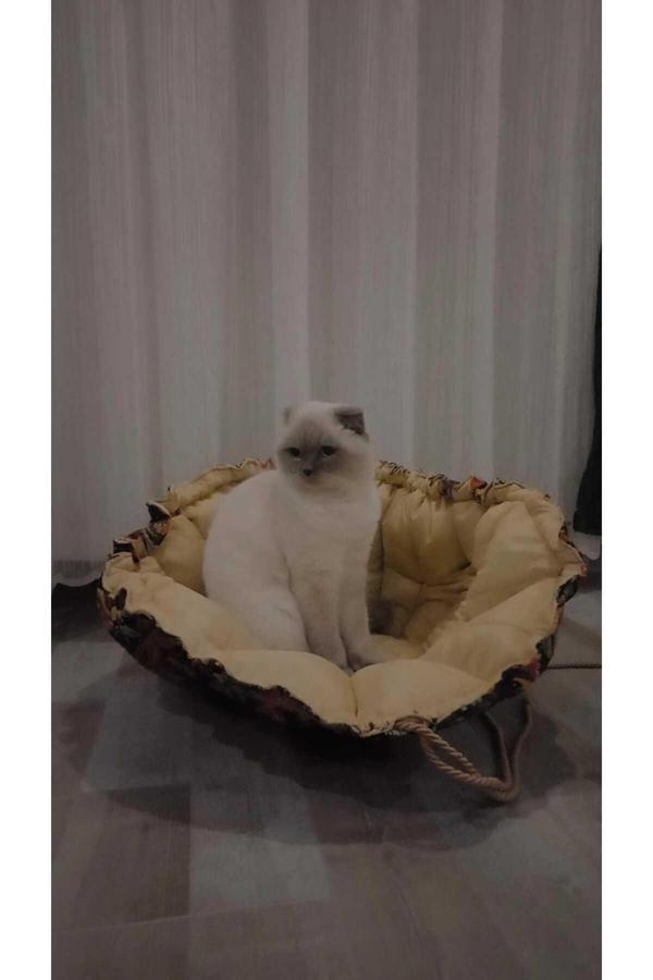 Akgül Ev Ve Bahçe Tekstil Mobilya Kedi Köpek Evcil Hayvan Minderi - Image 1