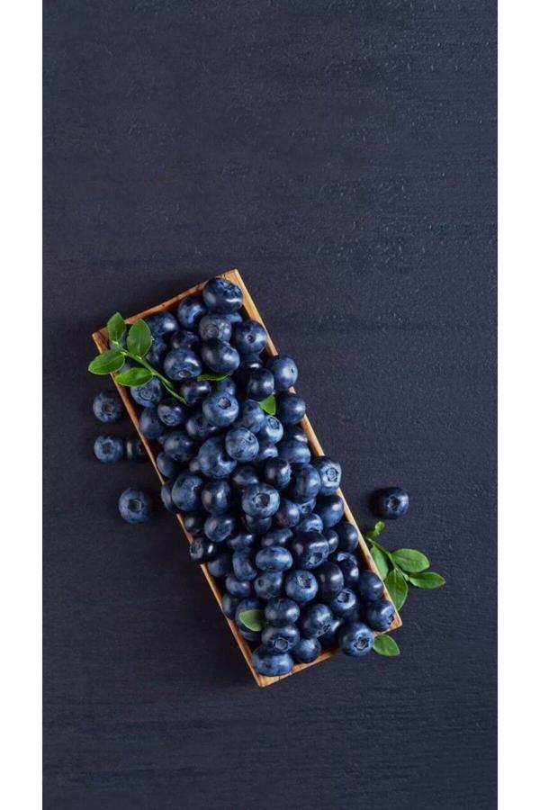 Bahçevilya 2 Yaşında Tüplü Yaban Mersini (Vaccinium Corymbosum) Fidanı - Lezzetli Ve Besleyici Bir Meyve - Image 1