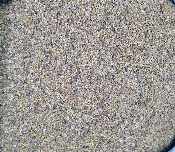 Susam Kabuklu- Susam - Image 1