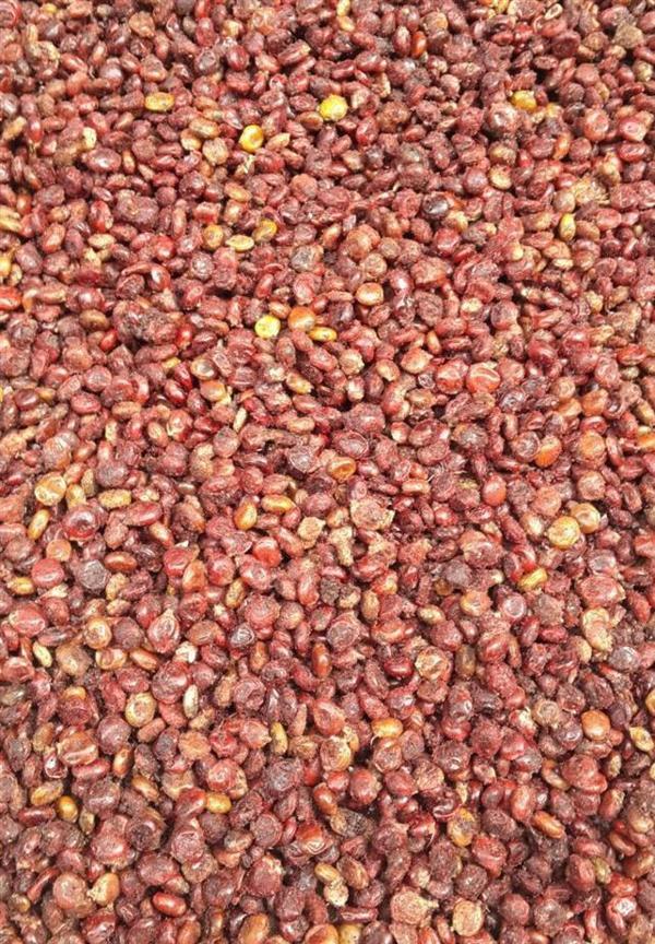 Sumak Tane 500 GR - Image 1