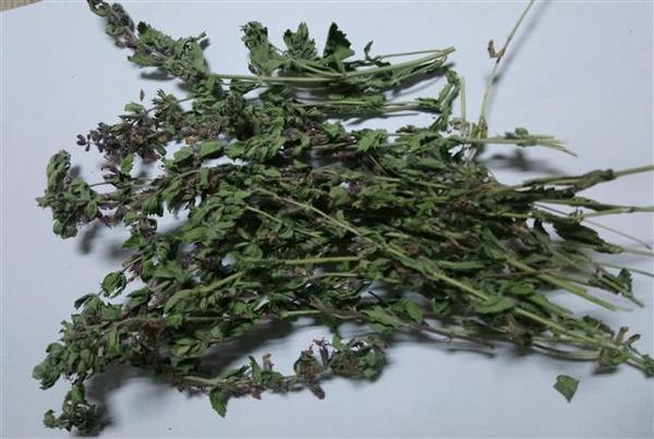 Çıban Otu-kırmızı Kısa Mahmut 500 GR - Image 1