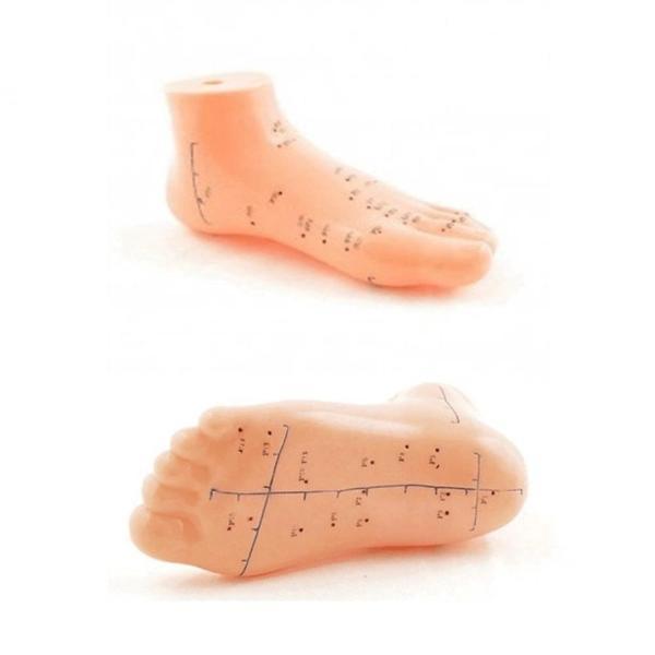 Ayak Akupunktur Bölgesi Maketi - Image 1