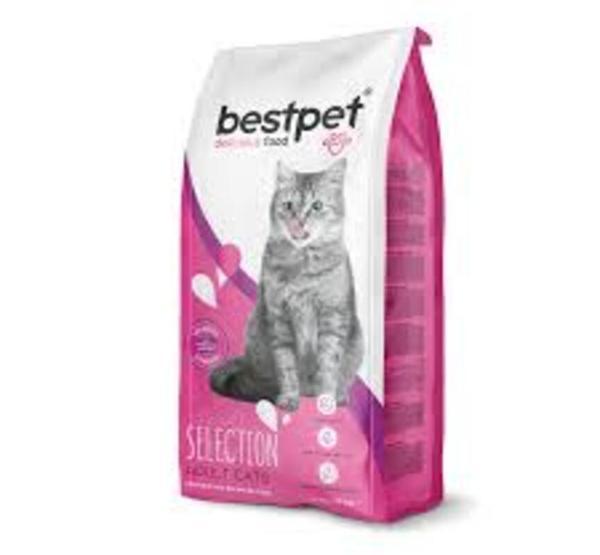 Bestpet Yetişkin Seçici Kediler İçin Tavuk Etli Kuru Mama 15 Kg - Image 1