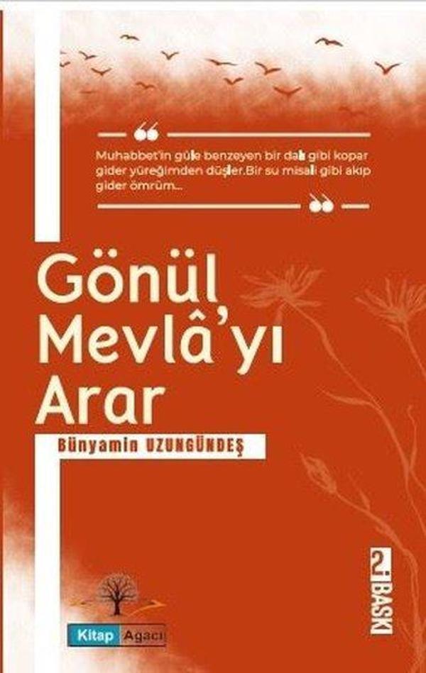 Gönül Mevla'yı Arar - Kitap Ağacı Yayınları - Image 1