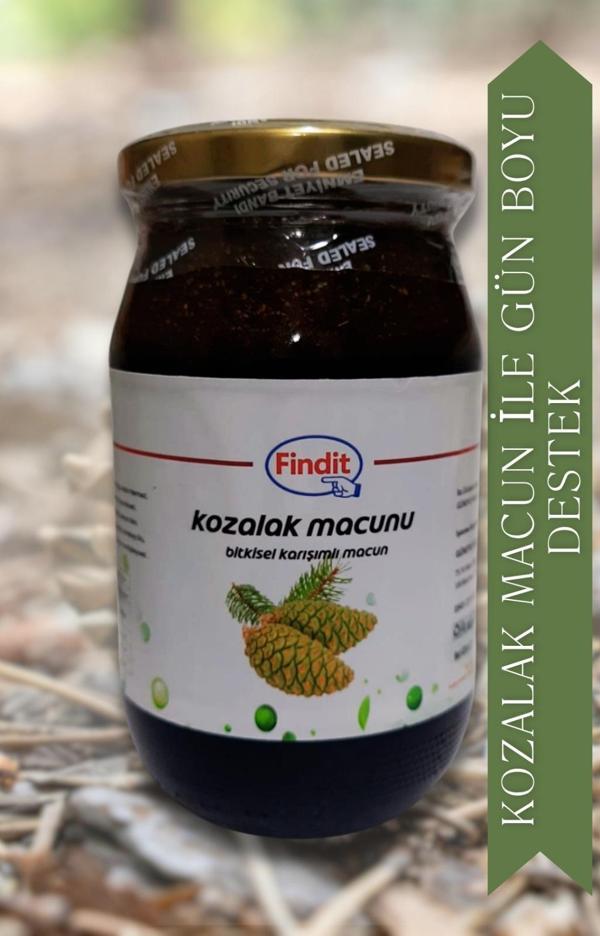 Kozalak Bitkisel Karışımlı Macun Doğal Güç ve Direnç Desteği - Image 1