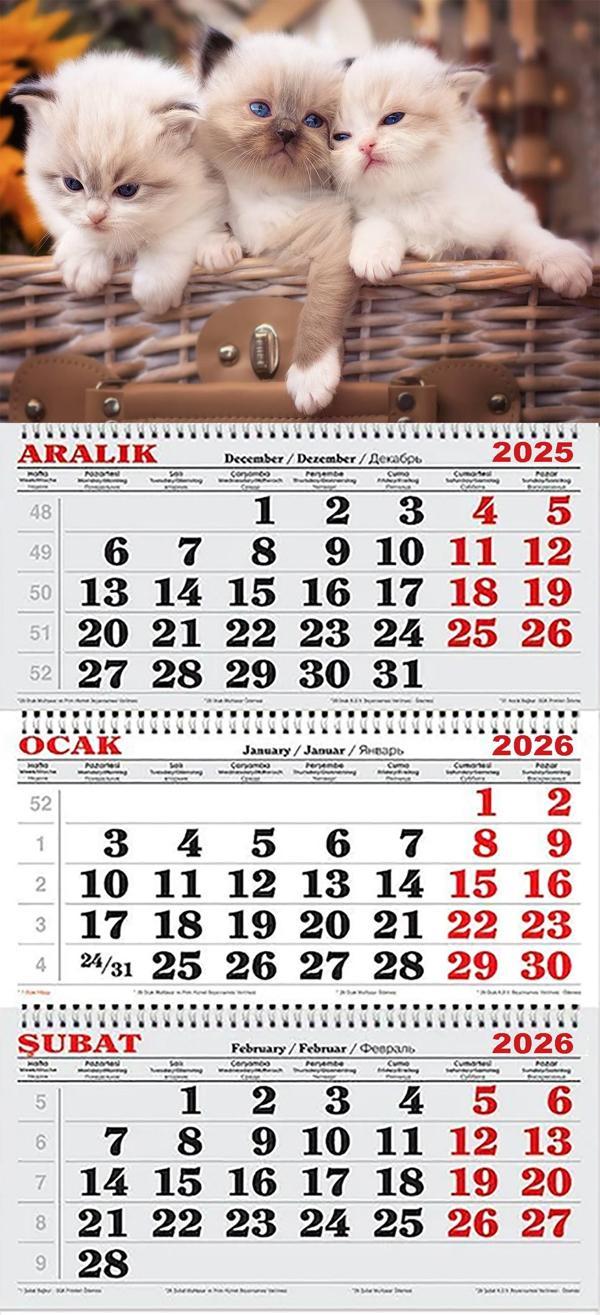 2026 Yılı Gemici Takvimi-Sepet İçindeki Yavru Kediler - Image 1