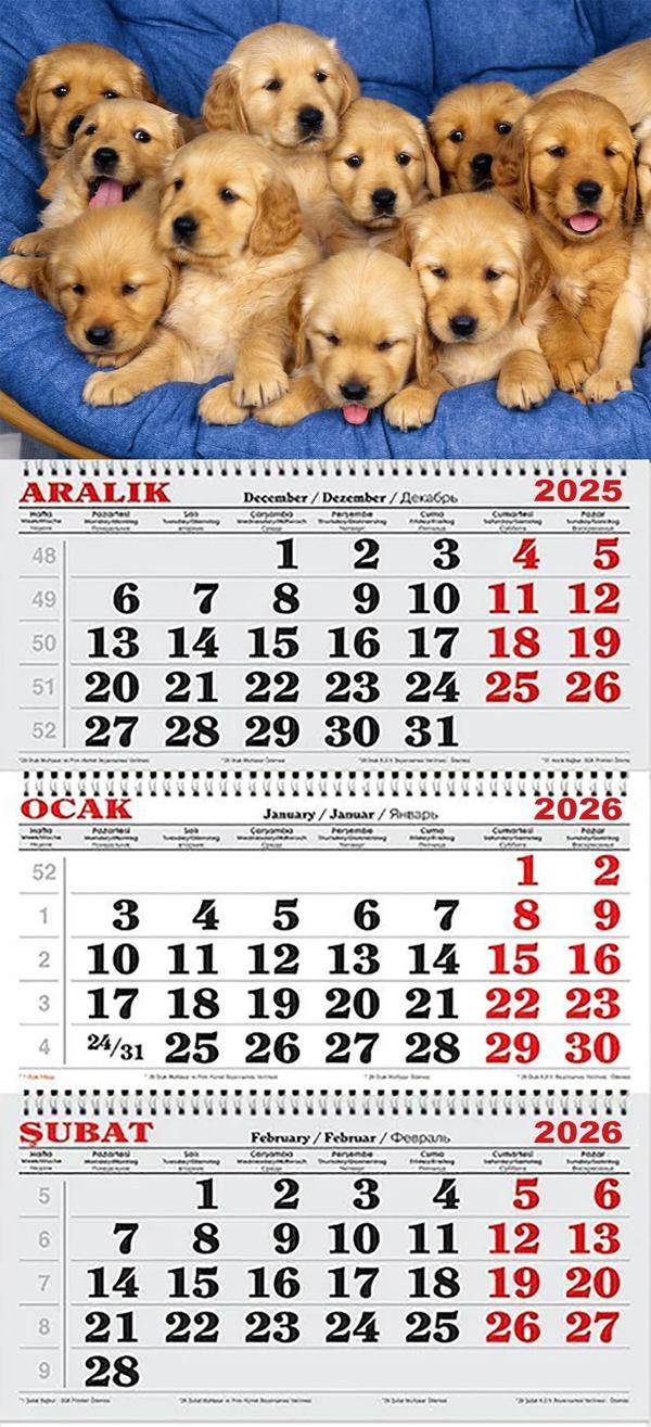 2026 Yılı Gemici Takvimi-Golden Yavruları - Image 1