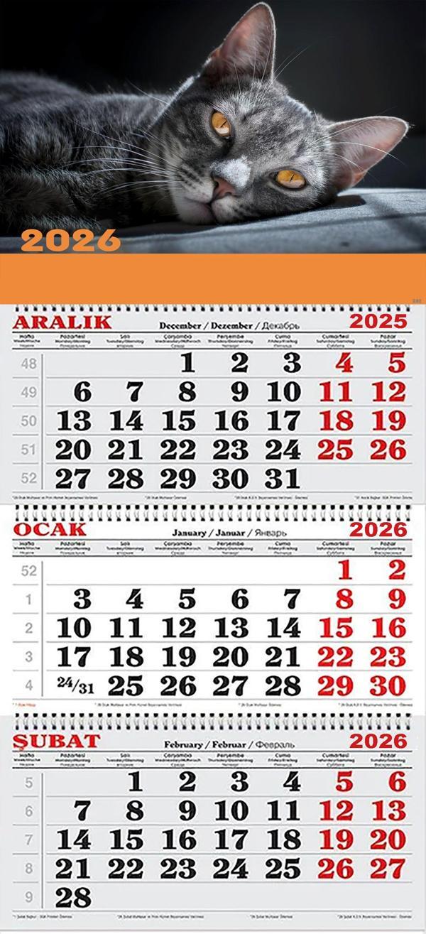 2026 Yılı Gemici Takvimi-Kara Kedi - Image 1