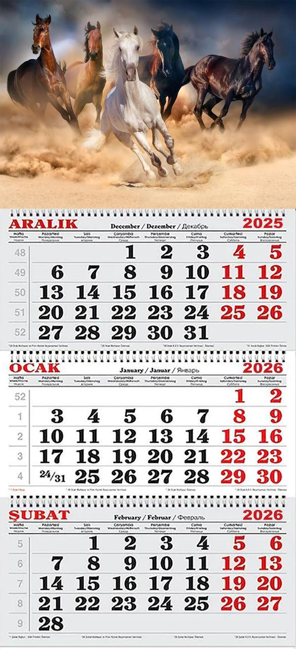 2026 Yılı Gemici Takvimi-Kır Atları - Image 1