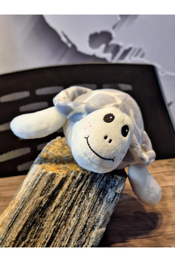 Caretta caretta Kaplumbağa Küçük - Image 1