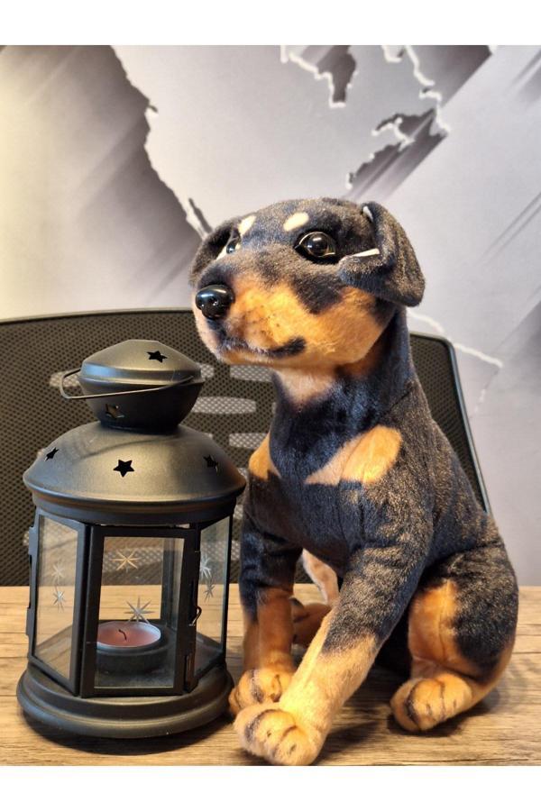 SEVİMLİ DOBERMAN KÖPEĞİ 35cM - Image 1