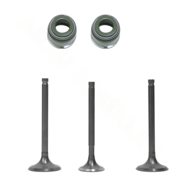 TVS JUPITER 125 EMME EGZOZ SÜBAP TAKIMI ORJ - Image 1