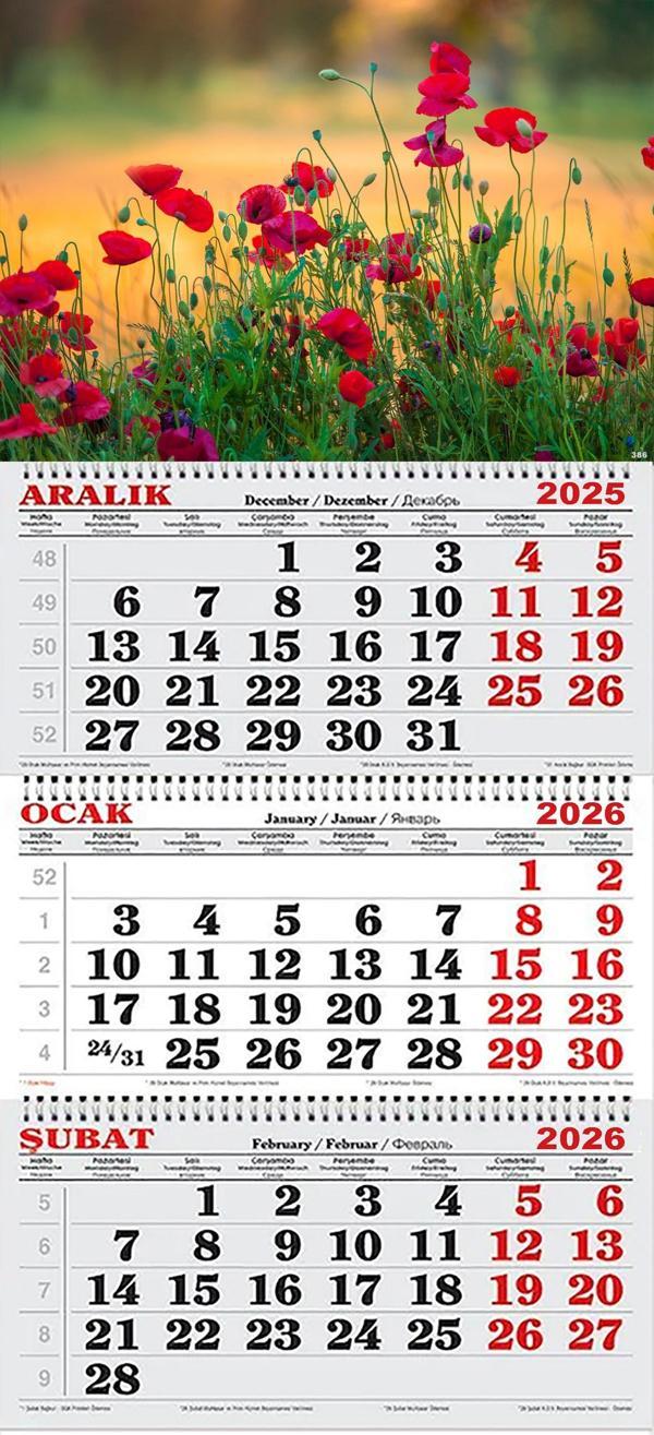 2026 Yılı Gemici Takvimi- Gelincik Çiçekleri - Image 1