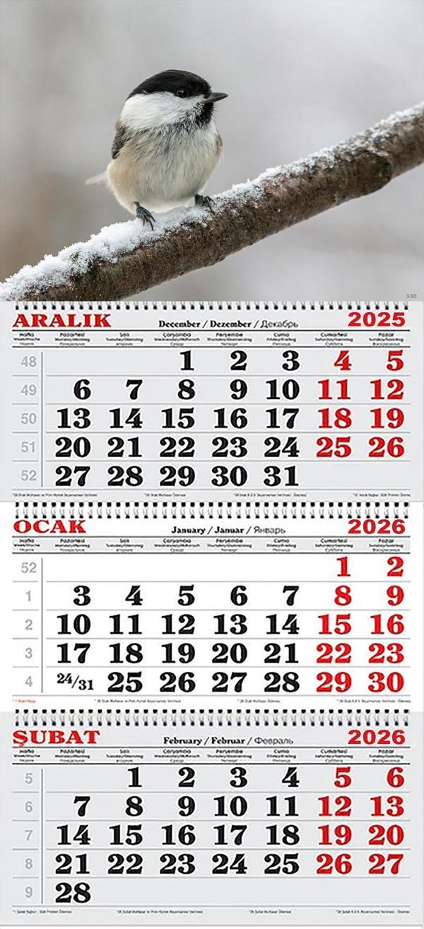 2026 Yılı Gemici Takvimi- Daldaki Kuş - Image 1