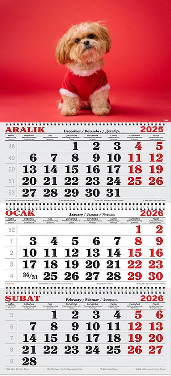 2026 Yılı Gemici Takvimi- Noel Kıyafetli Shih Tzu  - Image 1