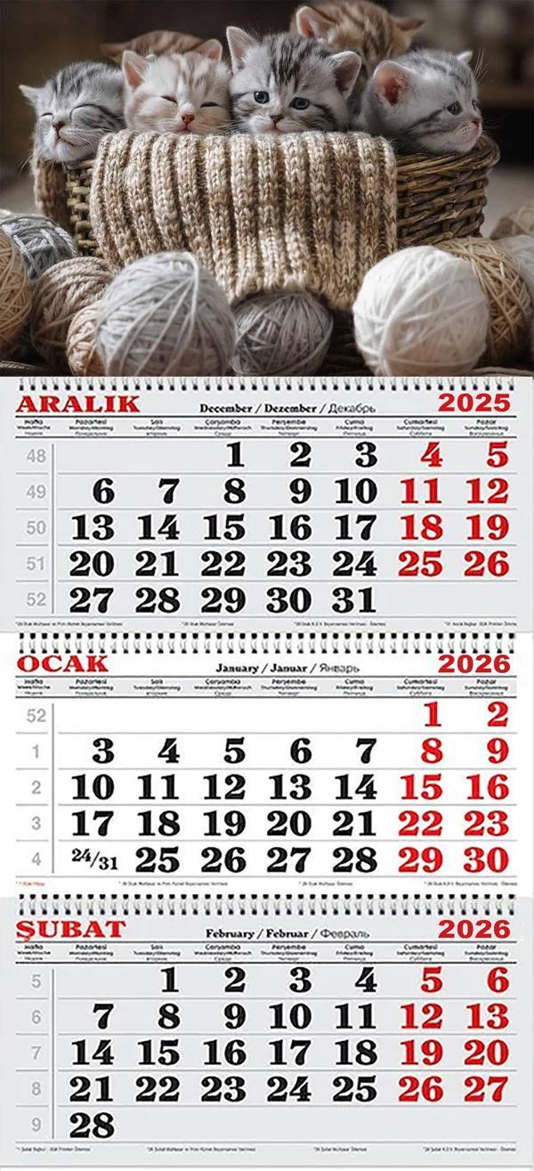 2026 Yılı Gemici Takvimi-Minnoş Kediler - Image 1