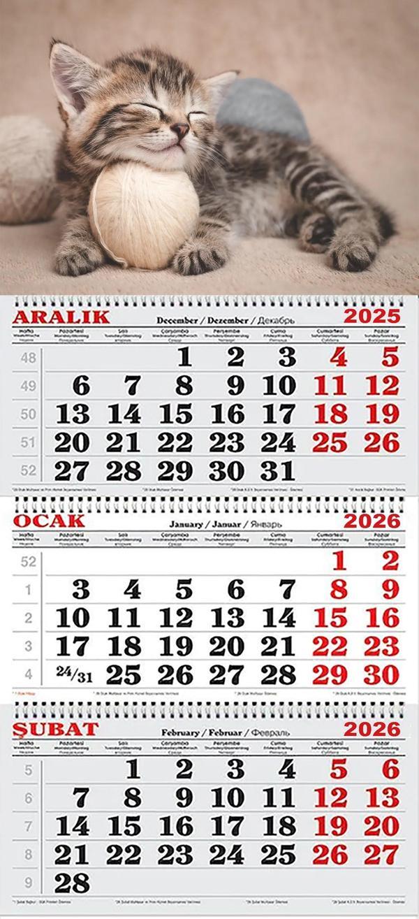 2026 Yılı Gemici Takvimi----MİNNOŞ TEKİR KEDİ - Image 1