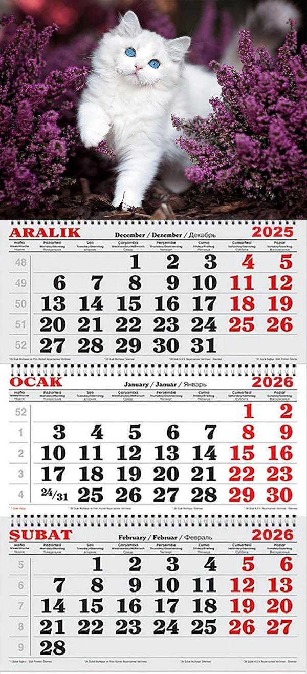 2026 Yılı Gemici Takvimi-Mor Çiçekler İçinde Kedi - Image 1
