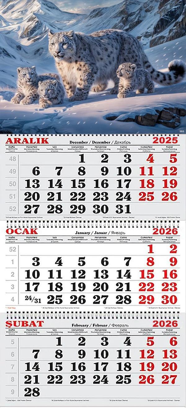 2026 Yılı Gemici Takvimi- Kar Leoparı ve Yavruları - Image 1