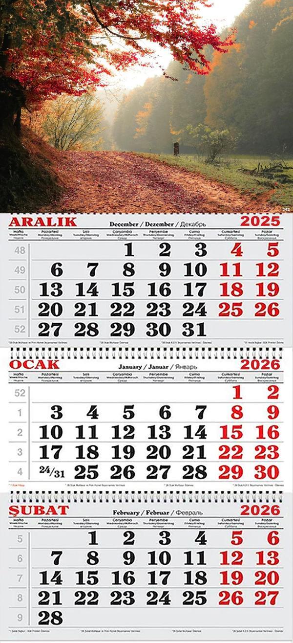 2026 Yılı Gemici Takvimi- Ormanda Yağmurlu Sonbahar Günü - Image 1