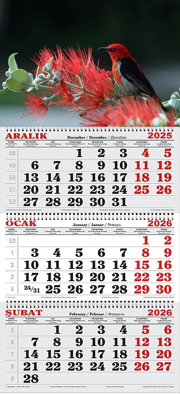 2026 Yılı Gemici Takvimi- Kızıl Bal Kuşu - Image 1