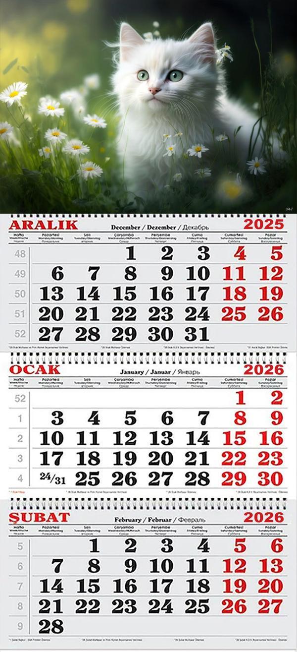 2026 Yılı Gemici Takvimi- Papatyalar ve Beyaz Kedi - Image 1